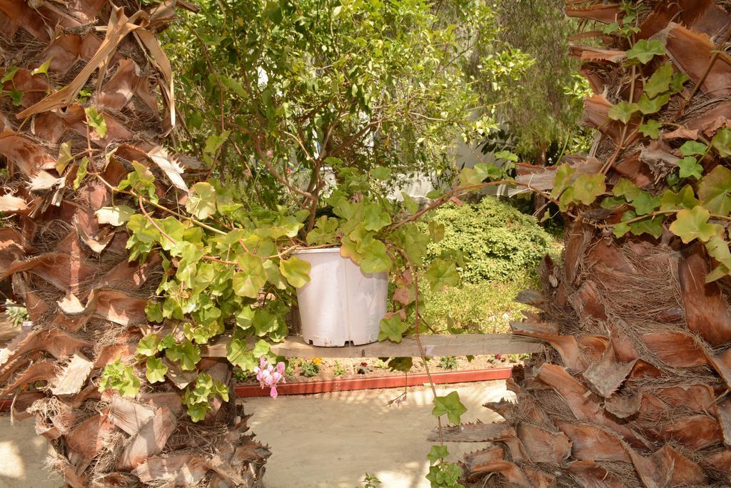Hermess Hotel Oren  Exterior photo