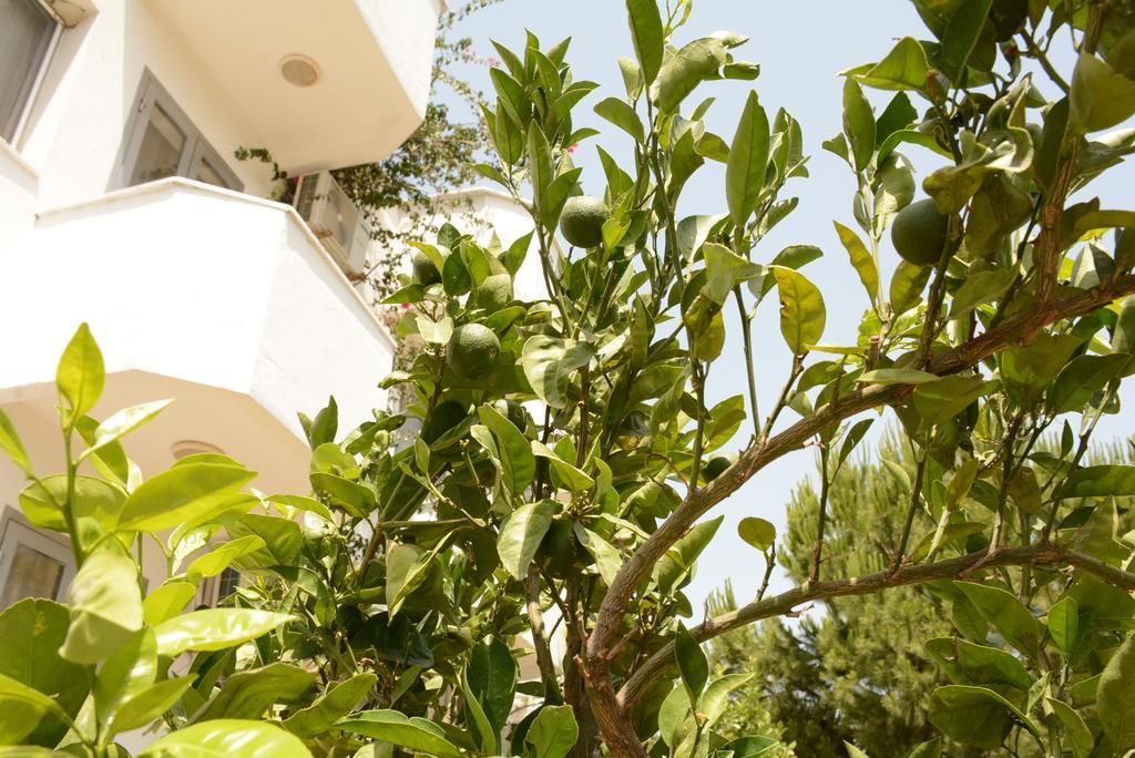 Hermess Hotel Oren  Exterior photo